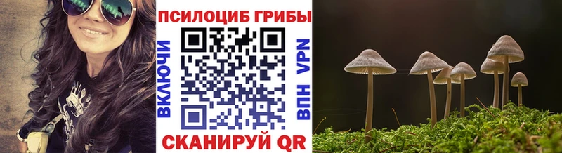 Псилоцибиновые грибы Cubensis  купить наркотики сайты  Ногинск 