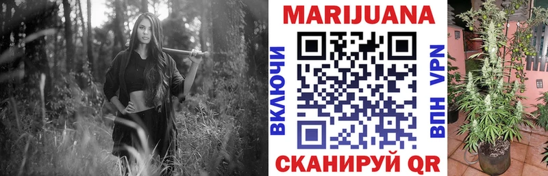 Бошки Шишки ГИДРОПОН  дарнет шоп  Ногинск 